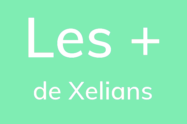 Les_de_Xelians_conseil_accompagnement